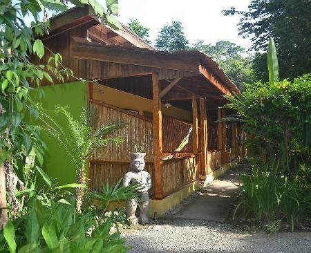 Morpheus Exotica Lodge Puerto Viejo de Talamanca Extérieur photo