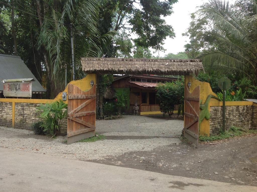 Morpheus Exotica Lodge Puerto Viejo de Talamanca Extérieur photo