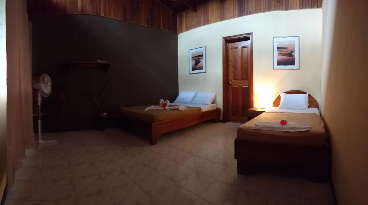 Morpheus Exotica Lodge Puerto Viejo de Talamanca Extérieur photo